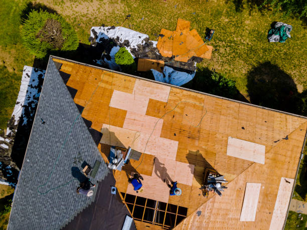 Best Commercial Roofing Services  in Cascade Locks, OR